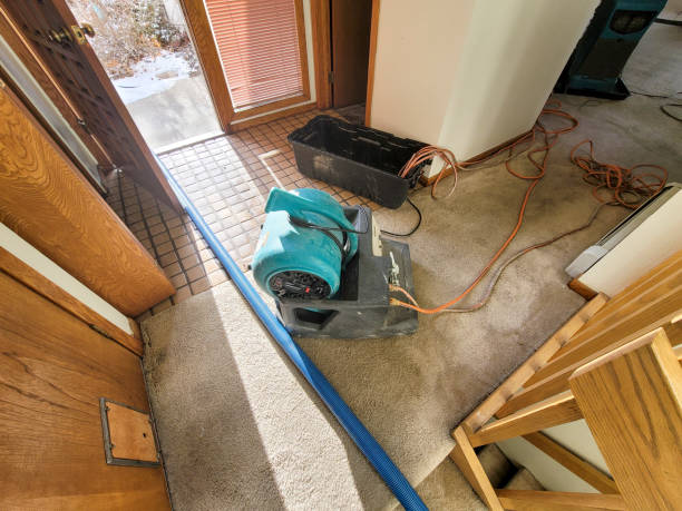 Best Flood restoration services  in Atwood, KS