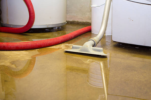 Best Sewage cleanup and water damage restoration  in Atwood, KS