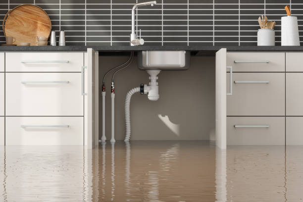 Water damage restoration mold remediation in KS
